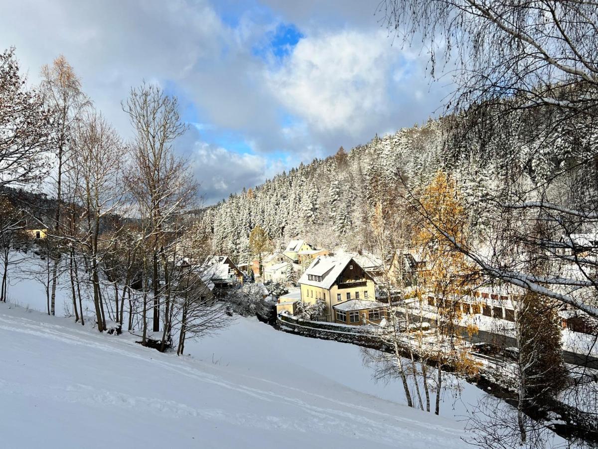 Urige Berghuette Mit Kamin Und Sauna Im Erzgebirge Nahe Schwarzwassertal Pobershau المظهر الخارجي الصورة