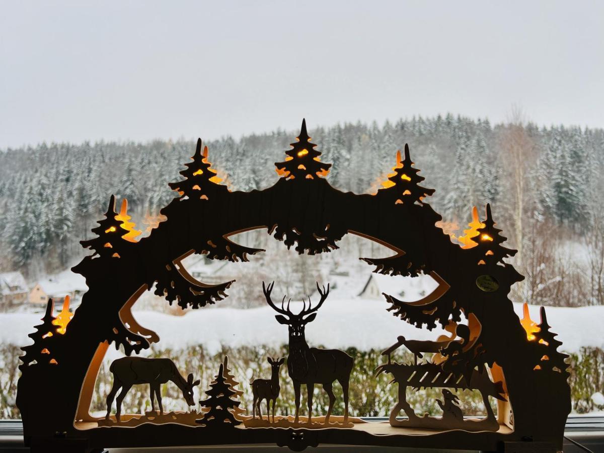 Urige Berghuette Mit Kamin Und Sauna Im Erzgebirge Nahe Schwarzwassertal Pobershau المظهر الخارجي الصورة